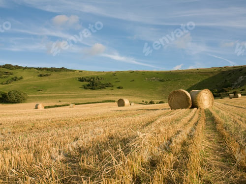 Preview: Harvested field and straw bales, Wilmington, East Sussex