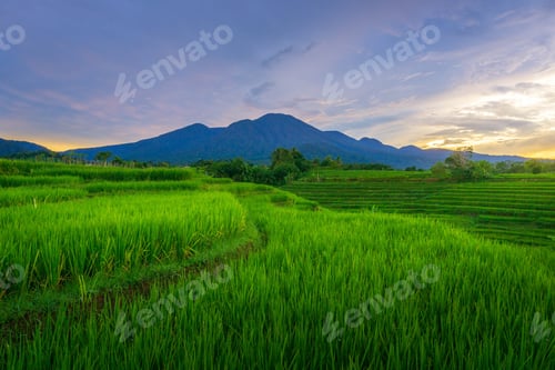 Preview: beautiful morning view from Indonesia of mountains and tropical forest