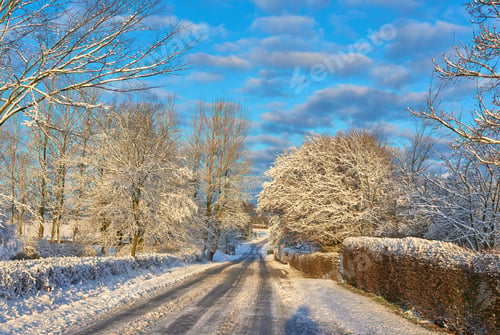Preview: Wintertime