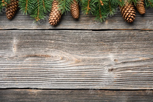 Preview: Christmas or New Year background with a border of green fir tree branches
