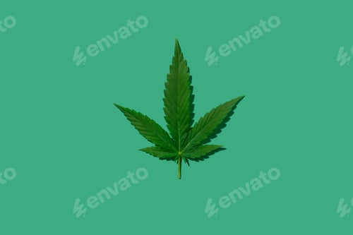 Preview: Cannabis leaf on green