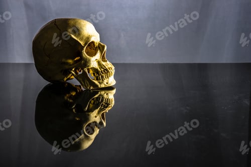 Preview: Dramatic Human Skull with Reflection on Dark Surface