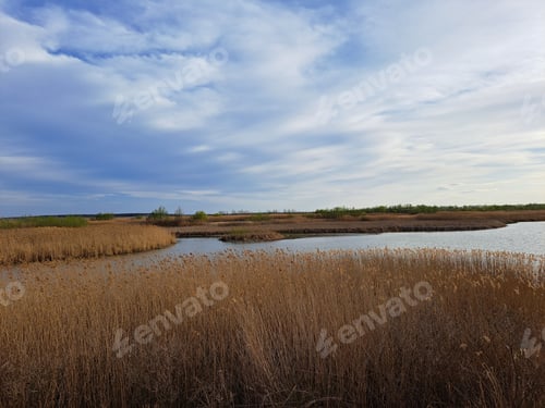 Preview: River in autumn