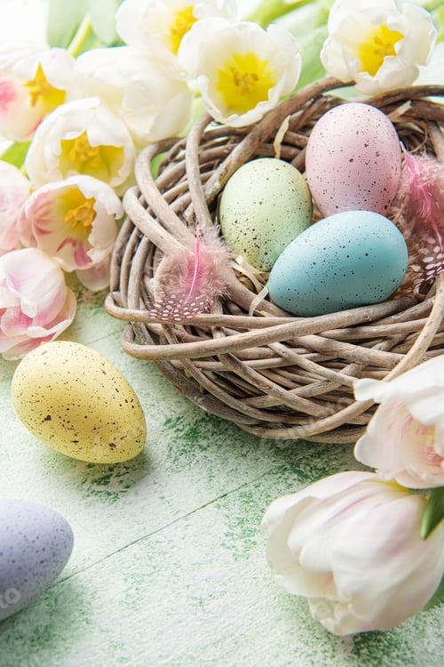 Preview: Nest with Easter eggs painted pastel colors on a green wooden background.
