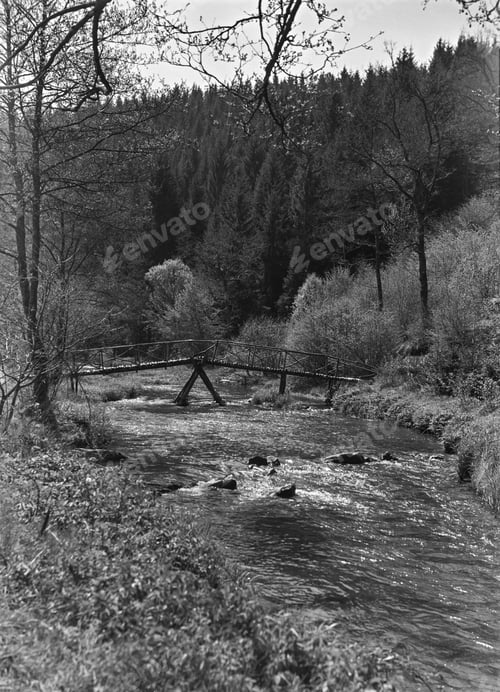 Preview: Stream of water flowing in woods