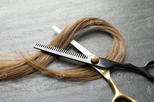 Preview: Beautiful hair strand and scissors on grey background, closeup
