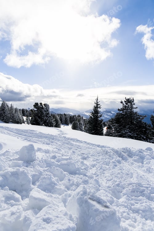 Preview: A beautiful field of snow under a cloudy sunny sky and surrounded by the mountains and pine trees
