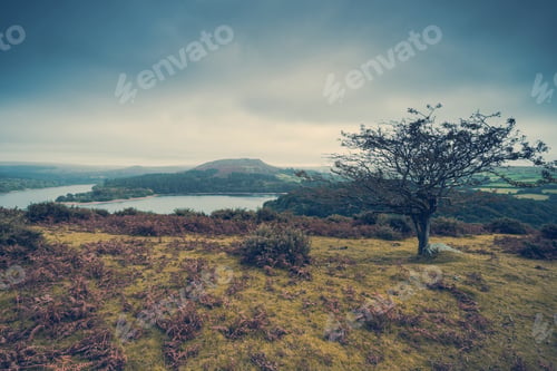 Preview: Moody landscape in Dartmoor, toned and filtered effect