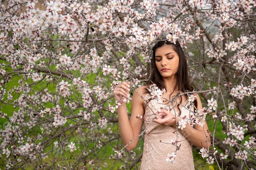 Preview: Attractive young caucasian woman, dressed in pink clothing, enjoying the plum blossom flowers