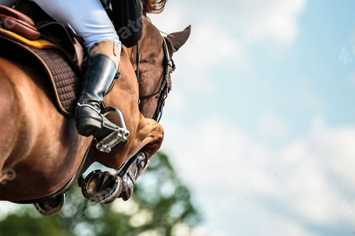 Preview: Horse Jumping, Equestrian Sports, Show Jumping themed photo.