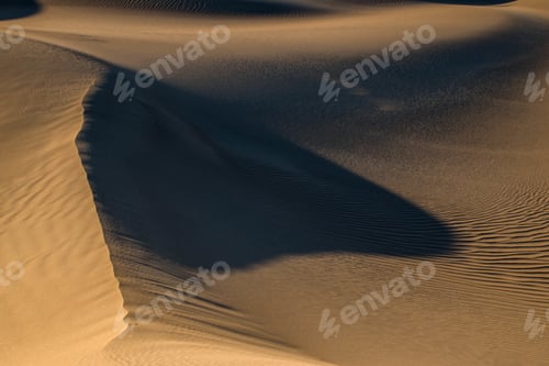 Preview: Beautiful shot of trails on the desert sand and a big shadow on the ground