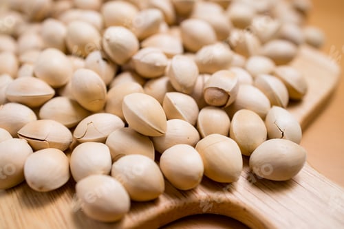 Preview: Fresh ginkgo seed nut close up