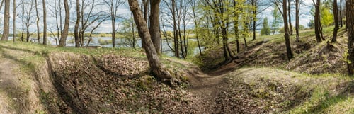 Preview: Old Abandoned World War Ii Trenches At Riverside Since Second World War. Early Spring Season. Cloudy