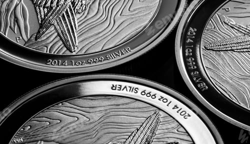 Preview: Close up of Silver Bullion Coin on a black mirror background