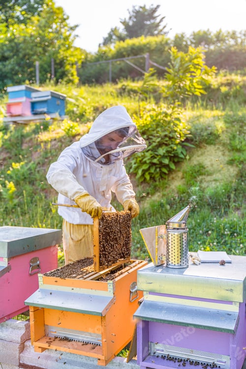 Preview: Beekeeper with honeycombs and smoker