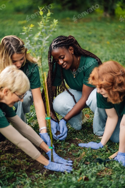 Preview: Volunteers planting a tree in a park