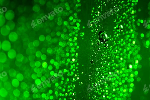 Preview: Abstract green raindrop background with beautiful bokeh. Many shades of green.