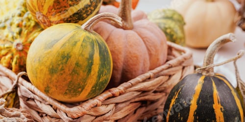 Preview: Pumpkins and gourds in basket with cozy autumn background