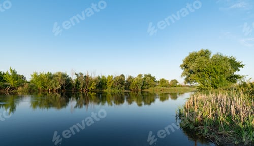 Preview: Scenery of silent rural lake near green forest