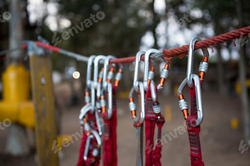 Preview: Harnesses hanging on rope in the forest