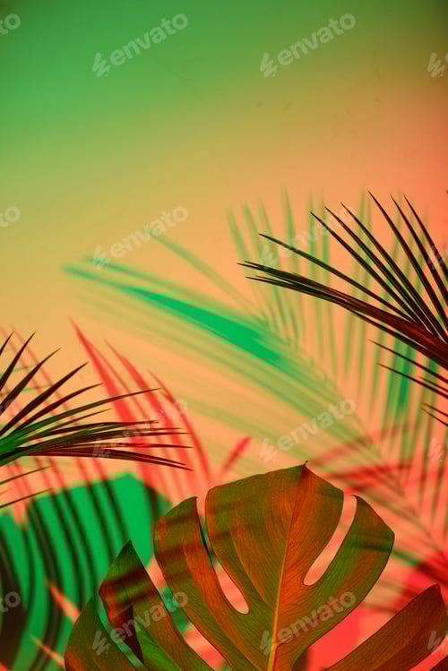 Preview: Tropical leaves in neon light with duotone shadows