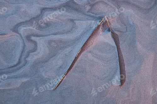 Preview: Closeup shot of branches on the sand