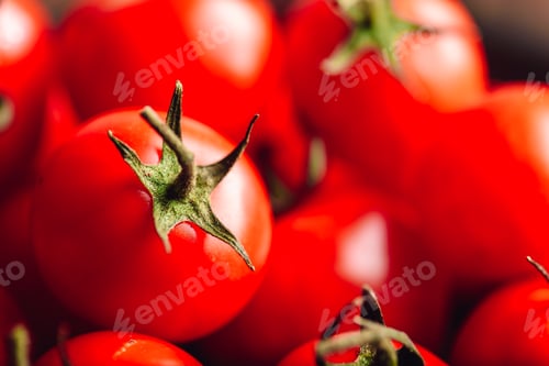 Preview: Cherry Tomatoes Background