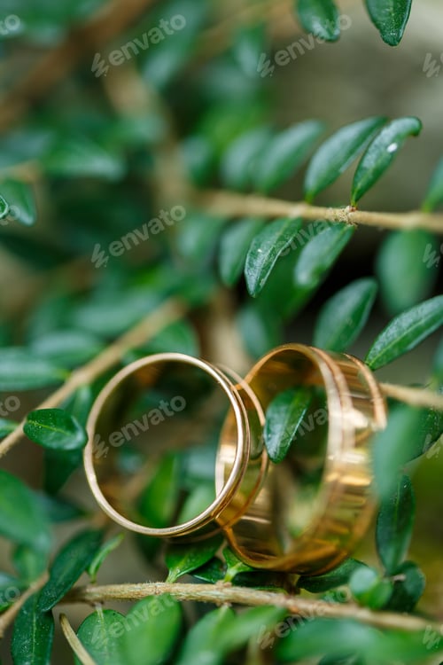 Preview: Gold wedding rings for newlyweds on wedding day
