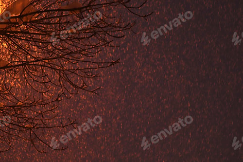 Preview: snowflakes falling from the sky