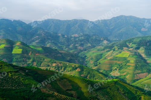 Preview: Paddy rice terraces, green agricultural fields in countryside of mountain hills valley, Vietnam.