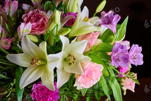 Preview: Bouquet on black background. A photo of a beautiful Bouquet.