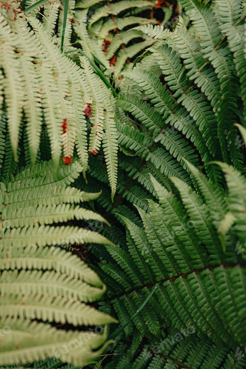 Preview: Super close up of some bright green plants background with copy space and texture