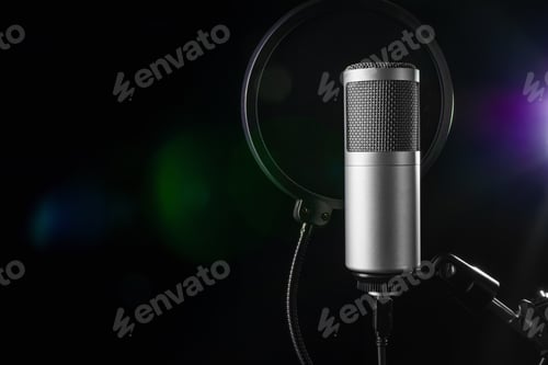 Preview: Studio microphone with a pop filter.