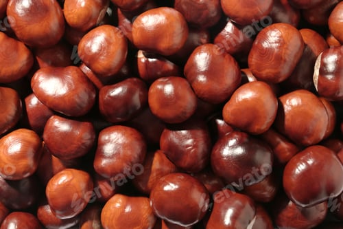 Preview: Pile of horse chestnuts as background, top view