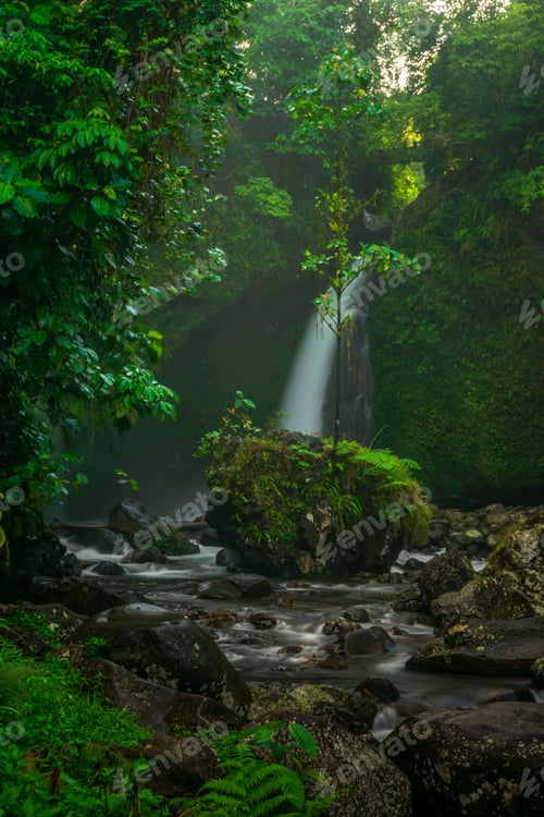 Preview: beautiful morning view from Indonesia of mountains and tropical forest