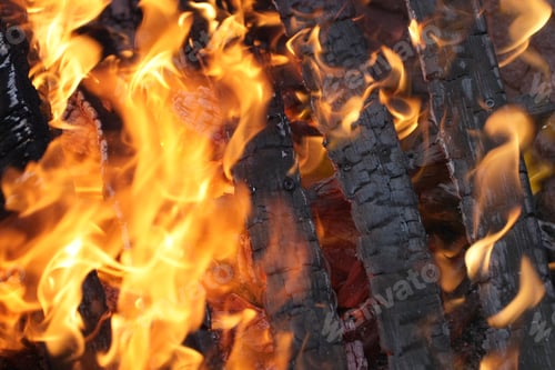 Preview: Burning Wood
