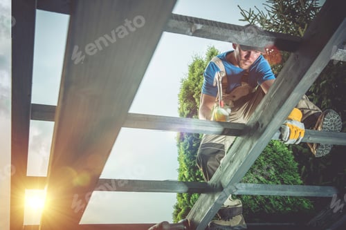 Preview: Pro Carpenter at Work