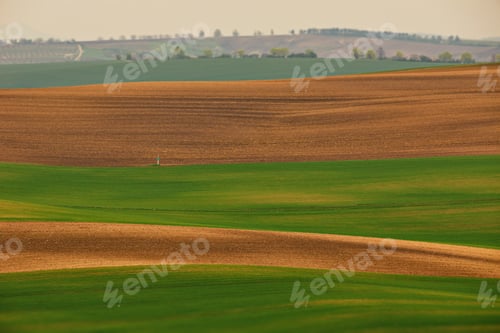 Preview: Landscape of farm fields covered in the grass in the countryside in Moravia, the Czech Republic
