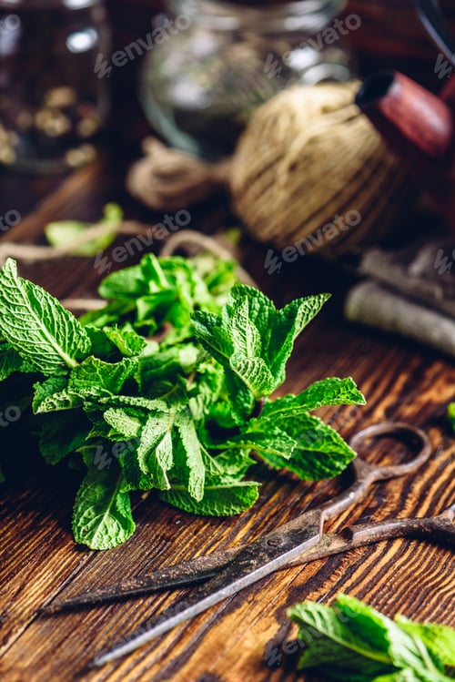 Preview: Bunch of Fresh Mint