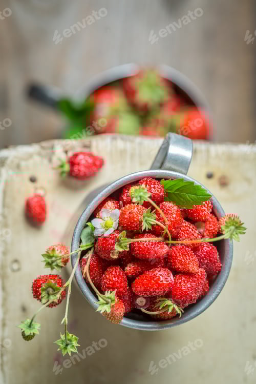 Preview: Tasty wild strawberries straight from garden. Red wild strawberries.