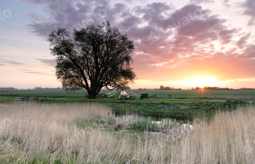 Preview: beautiful spring sunrise in countryside
