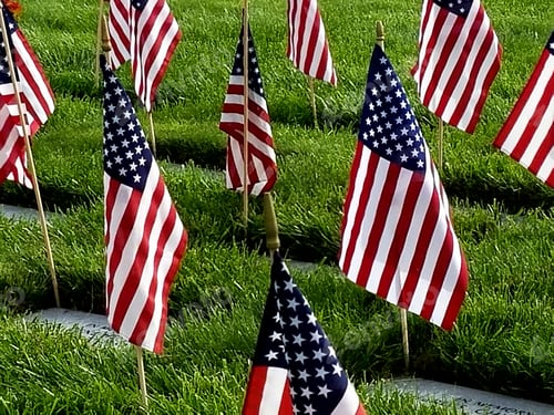Preview: American Flags Adorn a Grassy Memorial Field