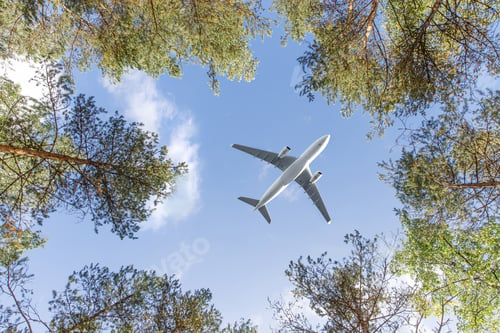 Preview: passenger airplane flying overhead against blue sky between trees