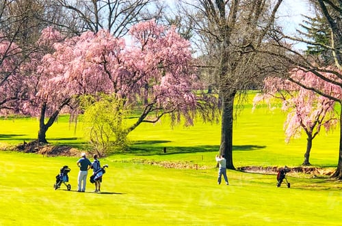 Preview: Springtime at the golf course!