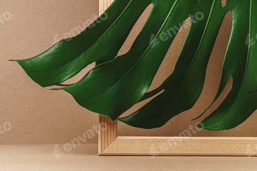 Preview: The edge of a green leaf of a plant