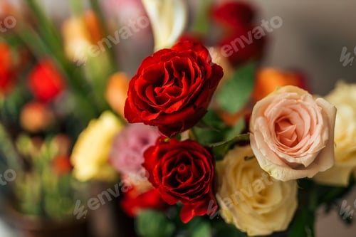 Preview: Close-up image of beautiful roses at florist shop.