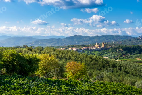 Preview: View of Vinci Village with Vineyards and Olive Groves, Tuscany