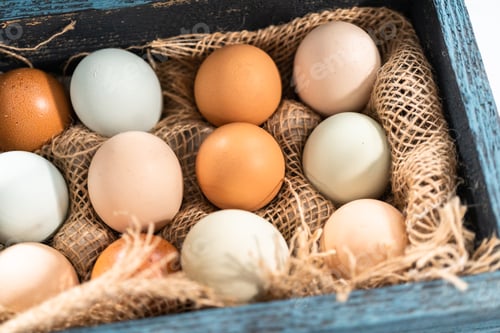 Preview: Fresh farm eggs