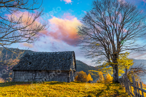 Preview: Abandoned wooden house surrounded by bare trees in highland