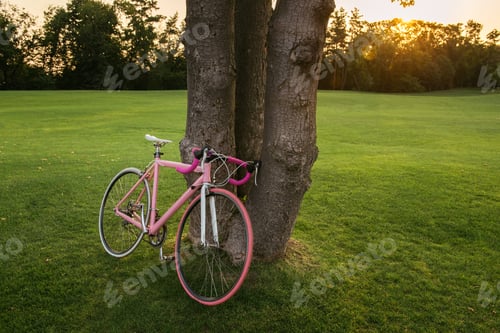 Preview: Beautiful pink bicycle stands under the tree in city park